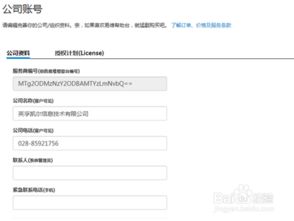 高效管理企业账号 客服软件的应用与服务策略