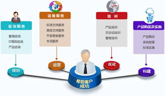 敬信软件专业应用软件服务